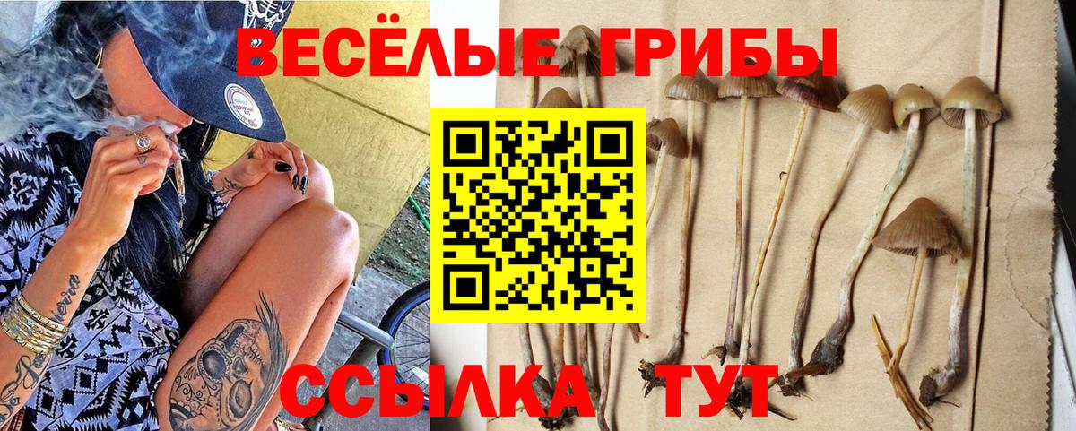 Галлюциногенные грибы GOLDEN TEACHER Моздок