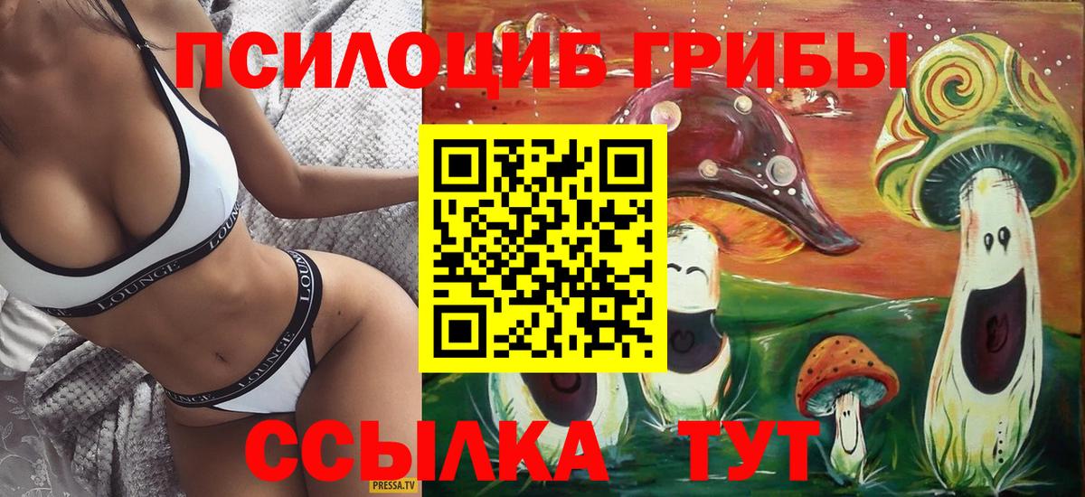 Псилоцибиновые грибы Cubensis  Вход с VPN  магазин    Моздок 